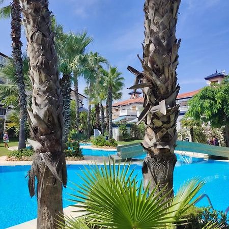 לה מאטה Sunny Apartment Costa Blanca מראה חיצוני תמונה
